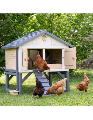 MI PRIMER GALLINERO COPELE