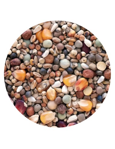 MIXTURA PALOMOS REPRODUCTORES PET CUP - 25 KG