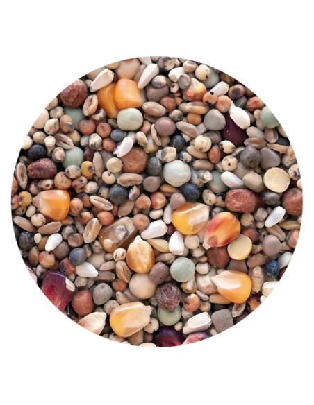 MIXTURA PALOMOS REPRODUCTORES PET CUP - 25 KG