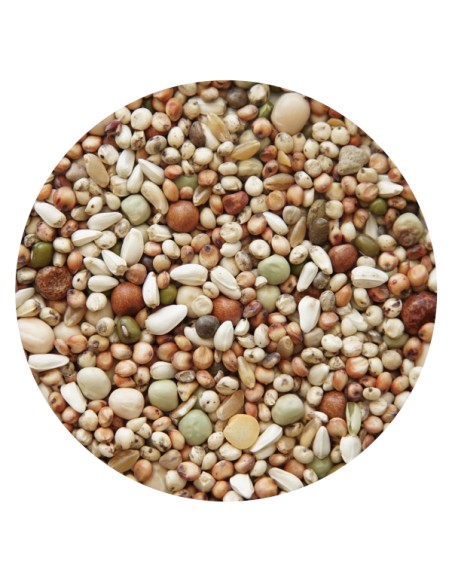 MIXTURA PALOMOS CRÍA PET CUP - 25 KG