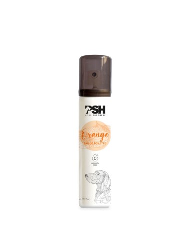 PERFUME ORANGE NARANJA PSH