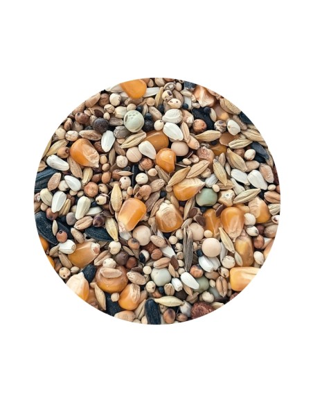 MIXTURA PALOMOS EXTRA MUDA PET CUP - 25 KG