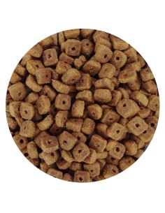 GATOS ESTERILIZADOS PET CUP 2