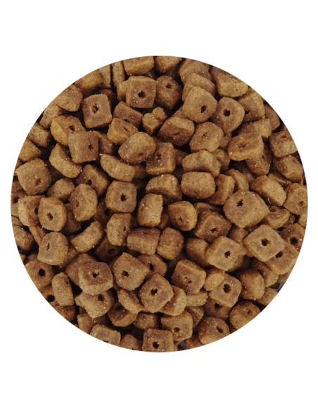 GATOS ESTERILIZADOS PET CUP