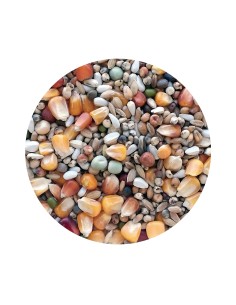 MIXTURA PALOMOS SPORT PET CUP - 25 KG