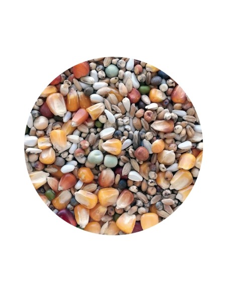 MIXTURA PALOMOS SPORT PET CUP - 25 KG