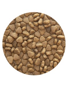 CORDERO PET CUP - 14 KG 2