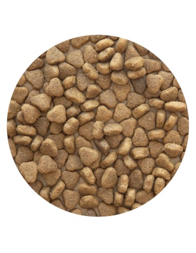 PIENSO CORDERO PET CUP - 14 KG