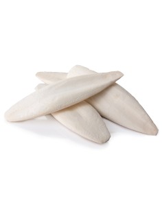 HUESO DE SEPIA PET CUP - 1 KG