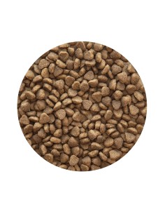 ADULT MINI PREMIUM PET CUP 2