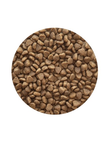 PIENSO ADULT MINI PREMIUM PET CUP