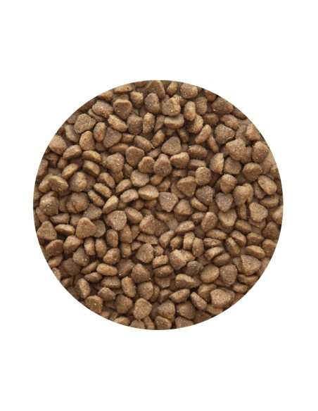 ADULT MINI PREMIUM PET CUP