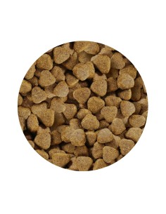 ADULT PREMIUM SALMON PET CUP 2