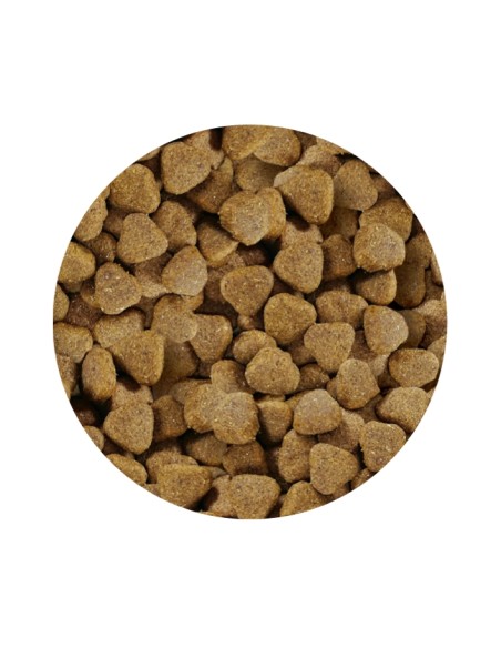 ADULT PREMIUM SALMON PET CUP