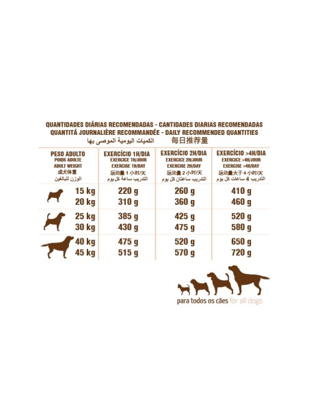 ADULT PREMIUM SALMON PET CUP