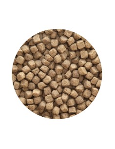 ADULT PREMIUM POLLO PET CUP - 14 KG 2