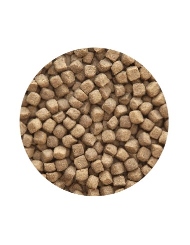 ADULT PREMIUM POLLO PET CUP - 14 KG