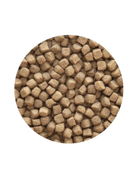 ADULT PREMIUM POLLO PET CUP - 14 KG