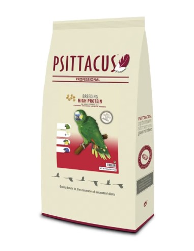 CRÍA ALTA PROTEÍNA PSITTACUS - 12 KG