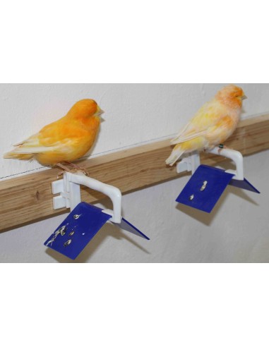 POSADERA MADEIRA INDIVIDUAL MOLDES AVE