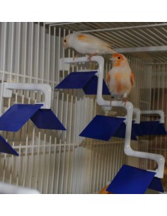 POSADERA MADEIRA 3 PUESTOS MOLDES AVE 2