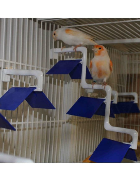 POSADERA MADEIRA 3 PUESTOS MOLDES AVE