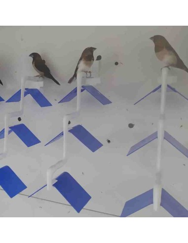 POSADERA MADEIRA 3 PUESTOS MOLDES AVE