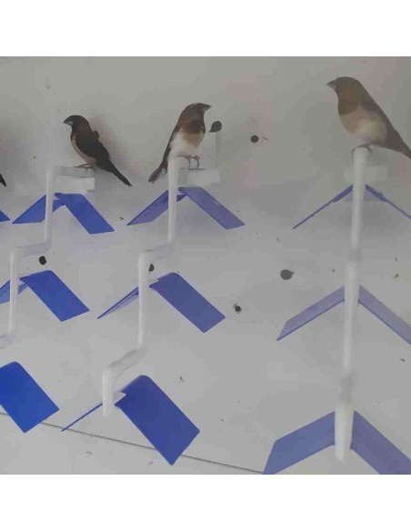 POSADERA MADEIRA 3 PUESTOS MOLDES AVE