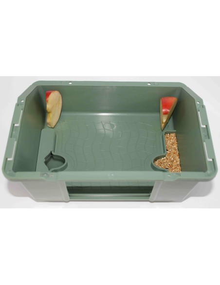 TRASNPORTÍN EL ARCA MOLDES AVE