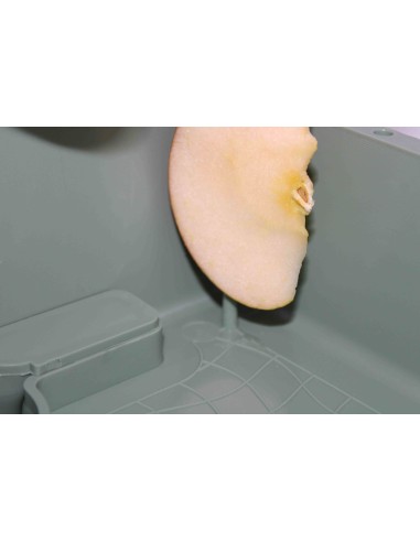 TRASNPORTÍN EL ARCA MOLDES AVE