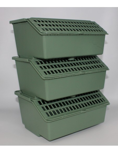 TRASNPORTÍN EL ARCA MOLDES AVE