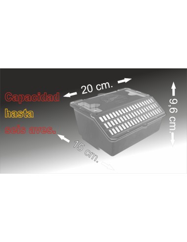 TRASNPORTÍN EL ARCA MOLDES AVE