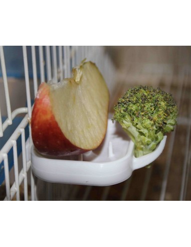 FRUTERO FLOREN MOLDES AVE