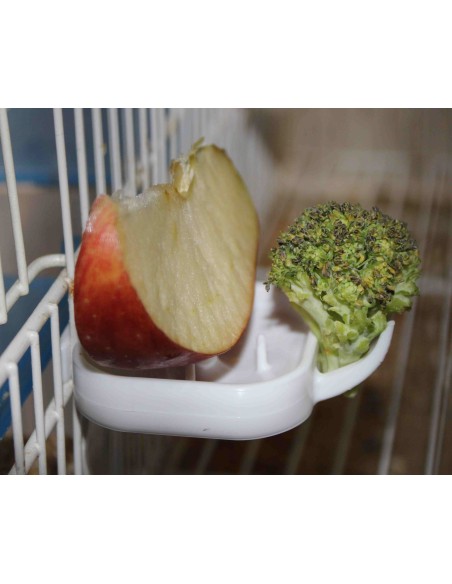 FRUTERO FLOREN MOLDES AVE