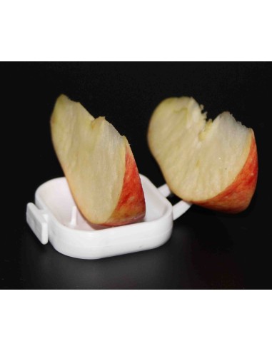 FRUTERO FLOREN MOLDES AVE