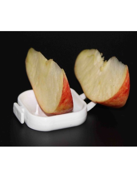 FRUTERO FLOREN MOLDES AVE