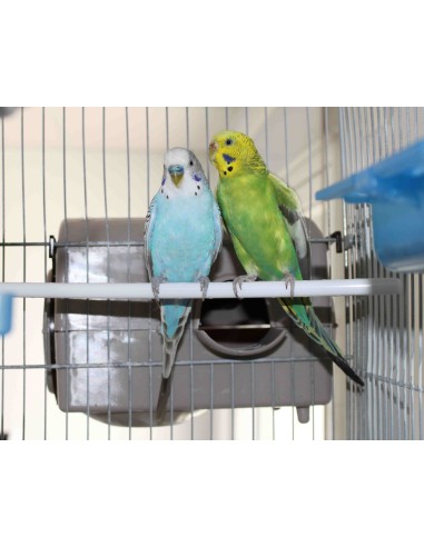 NIDO TAURÓN PARA PSITÁCIDAS MOLDES AVE