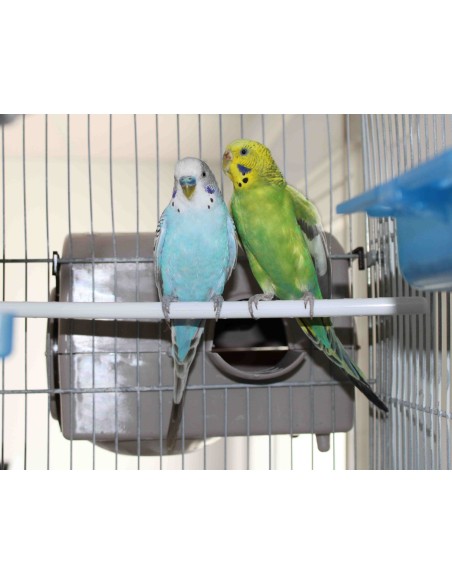 NIDO TAURÓN PARA PSITÁCIDAS MOLDES AVE