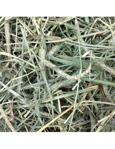 HENO BLEND TIMOTY + HUERTO OXBOW