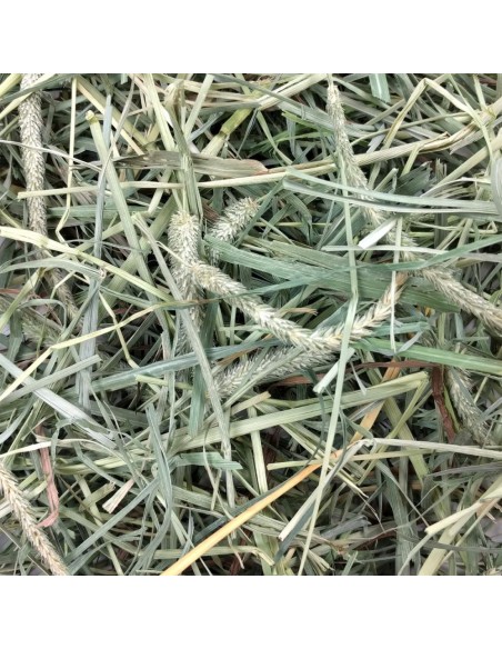 HENO BLEND TIMOTY + HUERTO OXBOW