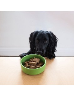 PATÉ CHIRIVÍA Y MANZANA PARA PERROS YORA - 390 GR 2
