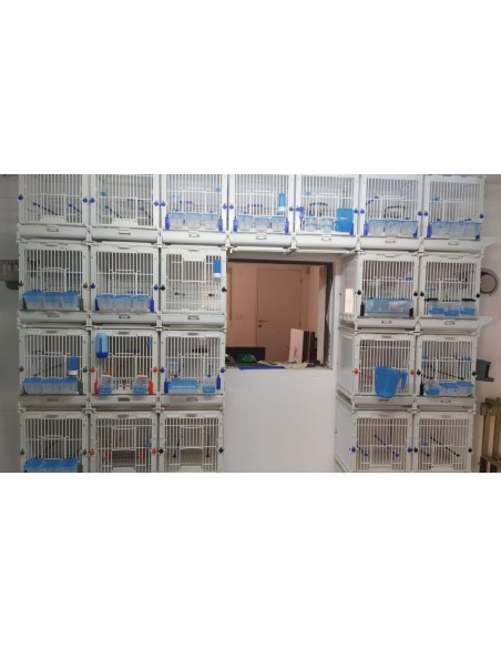 JAULA MÓDULO MA MOLDES AVE