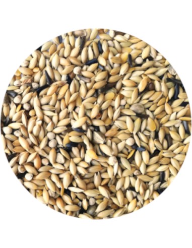 MIXTURA CANARIOS ELITE SIN AVENA PET CUP - 20 KG