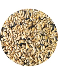 MIXTURA CANARIOS ELITE SIN AVENA PET CUP - 4 KG 2