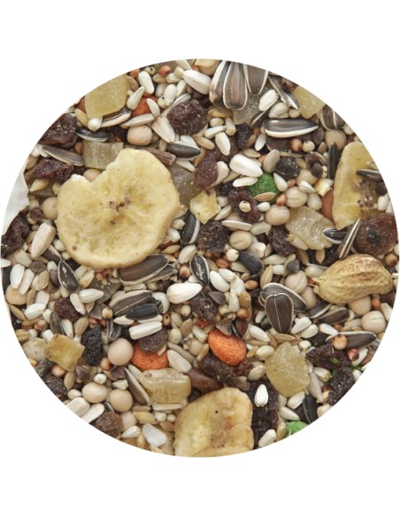 MIXTURA LOROS CON FRUTAS PET CUP