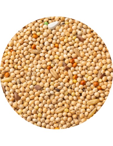 MIXTURA PERIQUITOS CLASSIC PET CUP - 4 KG