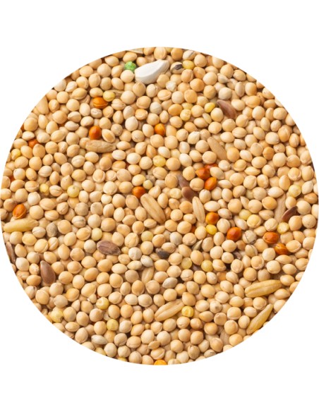 MIXTURA PERIQUITOS CLASSIC PET CUP - 4 KG