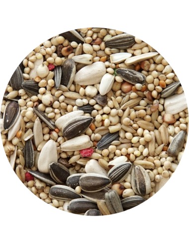 MIXTURA PSITACIDOS STANDARD PET CUP