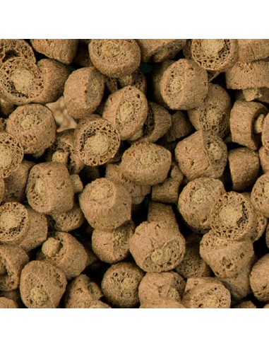 REPTIL PROFESSIONAL CARNIVOR NATURE SERA