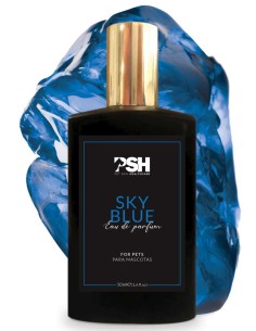 SKY BLUE EAU DE PARFUM PSH - 50 ML